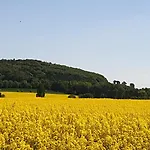 Lejlighed Hellmann Bad Nenndorf
