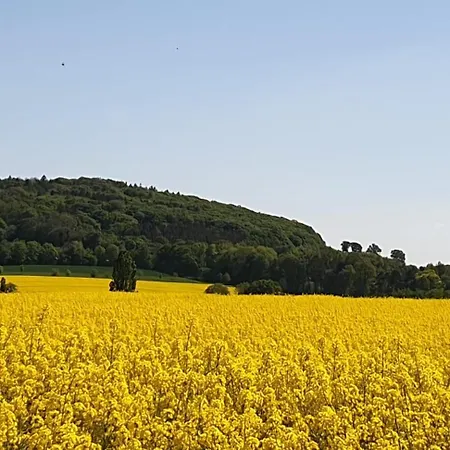 Διαμέρισμα Hellmann Bad Nenndorf