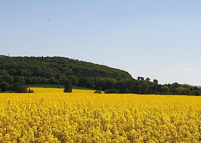 Appartement Hellmann Bad Nenndorf