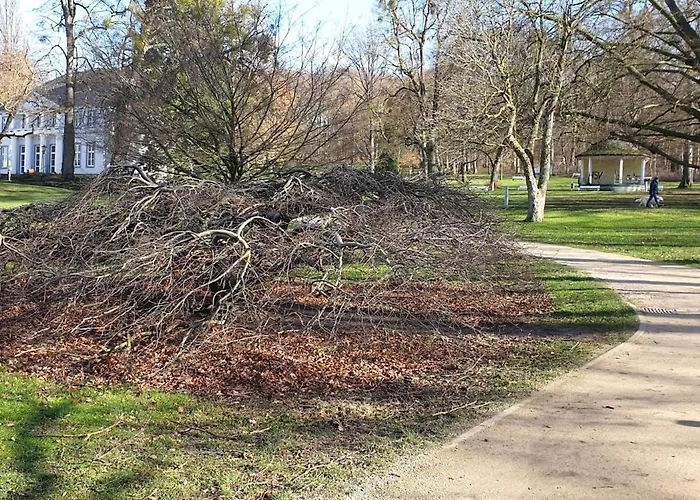 Appartement Hellmann Bad Nenndorf